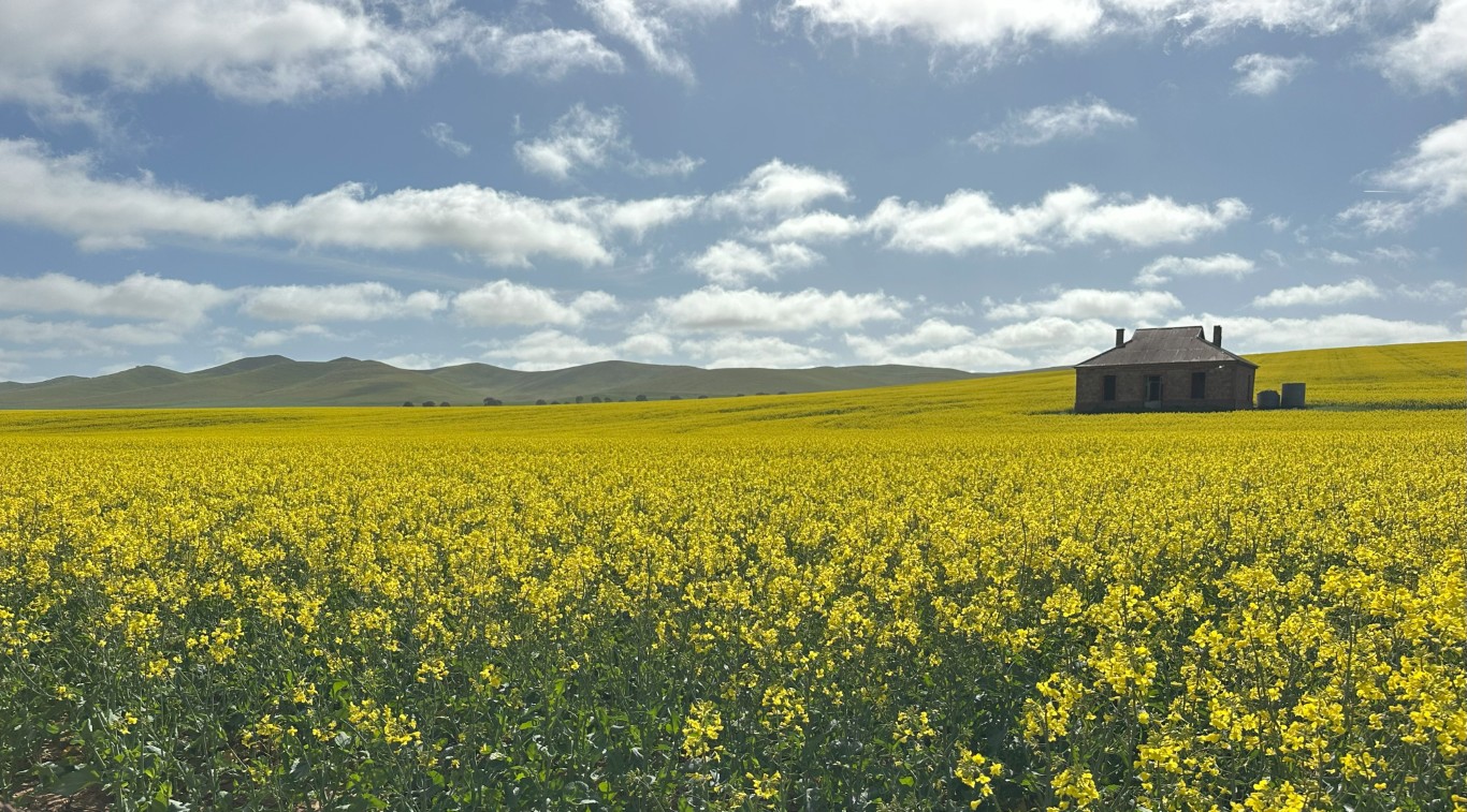 Travelling from Western New South Wales to the Flinders Ranges